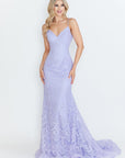 Lace Embroidered Long Formal Dress