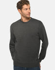 Premium Crewneck Sweatshirt