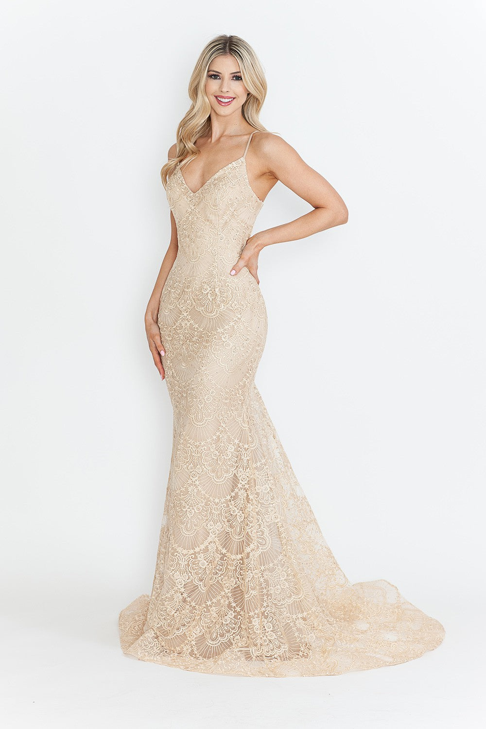 Lace Embroidered Long Formal Dress
