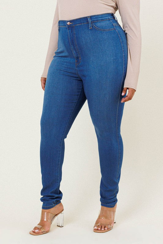 Premium Plus Size Skinny Jeans
